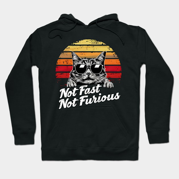 Not Almost Not Furious Lazy Relaxed Cat Hoodie by Primo Style